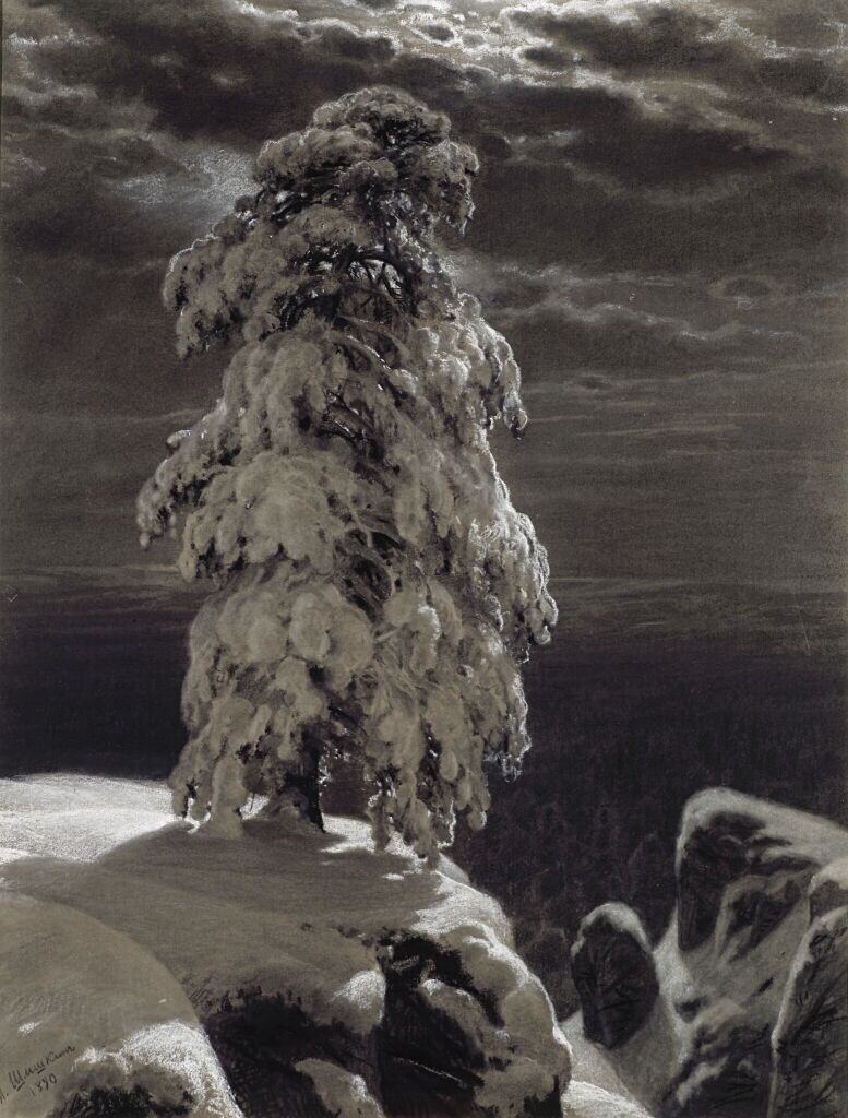 Иван Шишкин. На севере диком… 1890. Бумага, белила, уголь.
