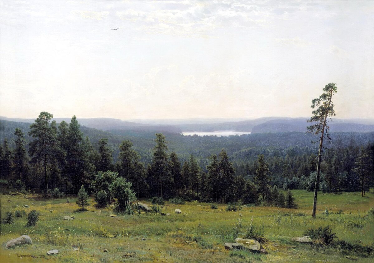 Иван Шишкин. Лесные дали. 1884. Холст, масло.
