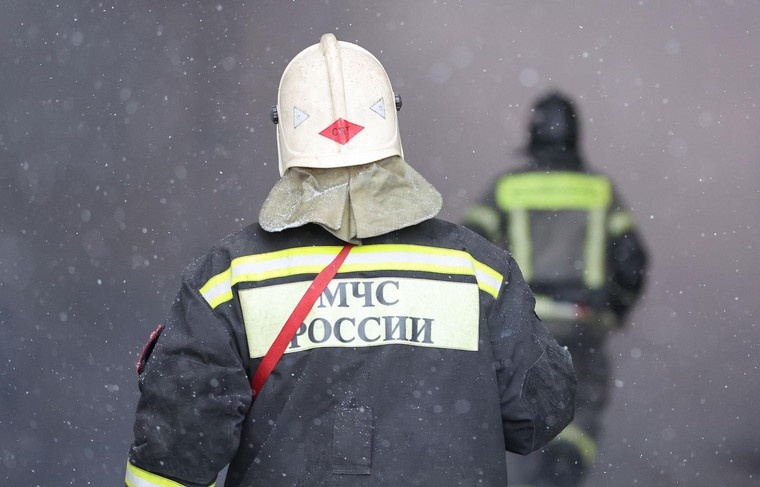    Алексей Белкин/NEWS.ru