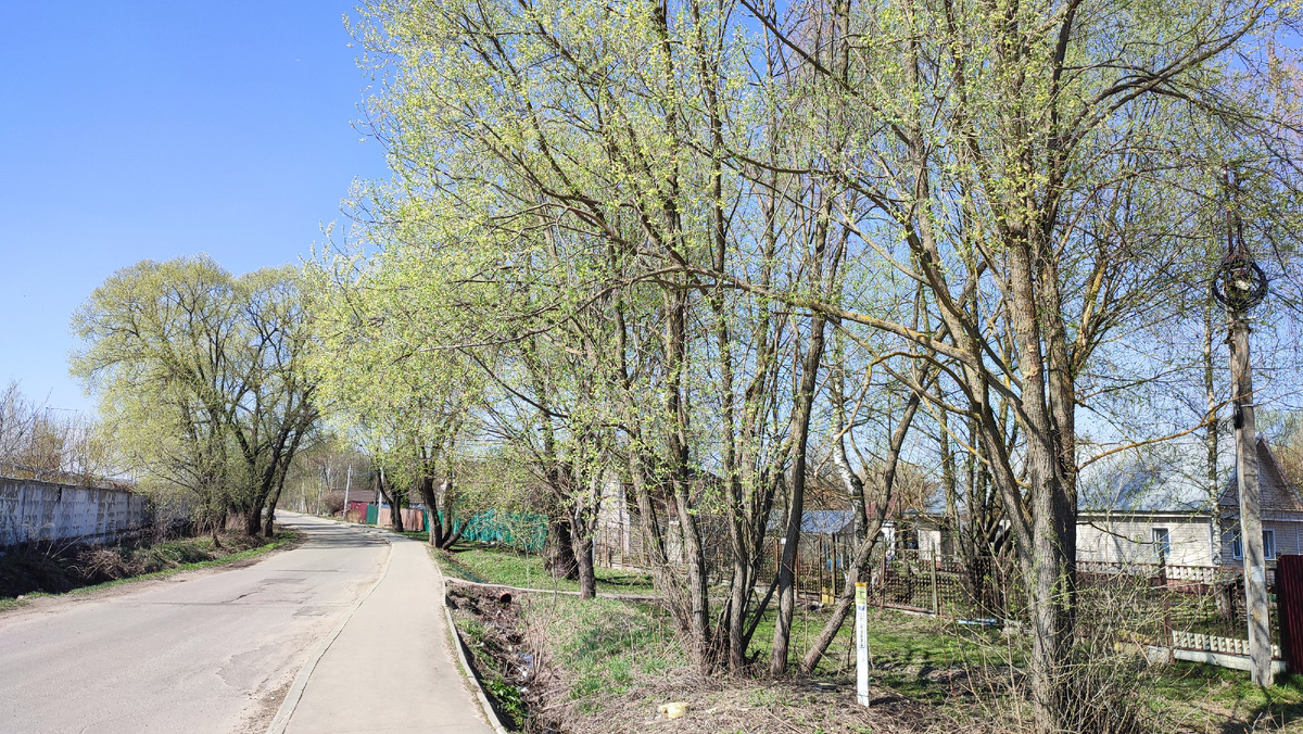 Вот так у нас стало зелено