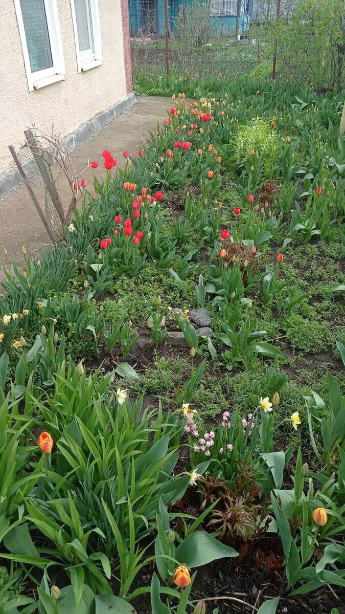 весной так, а прошлым летом на следующем фото