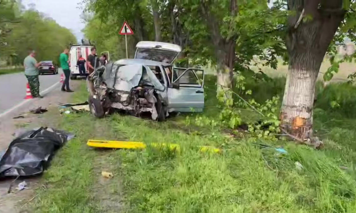    Фото t.me/gibdd123region