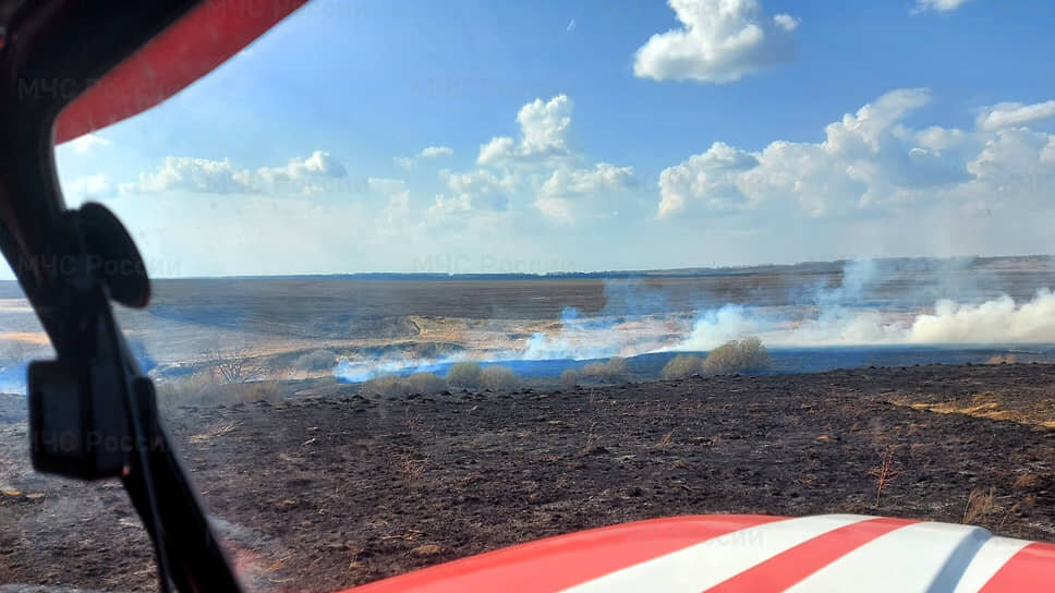 В Чувашии за сутки произошло пять ландшафтных пожаров.📷Фото: МЧС по Чувашской Республике