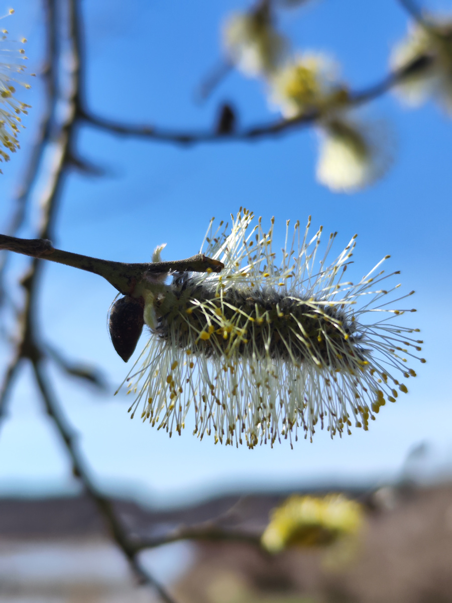 Автор фото я.