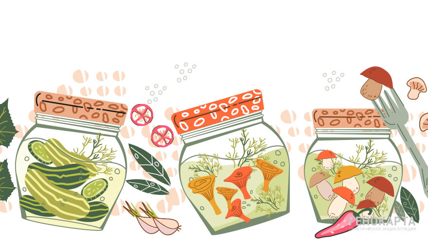 anastasia.gis // shutterstock.com