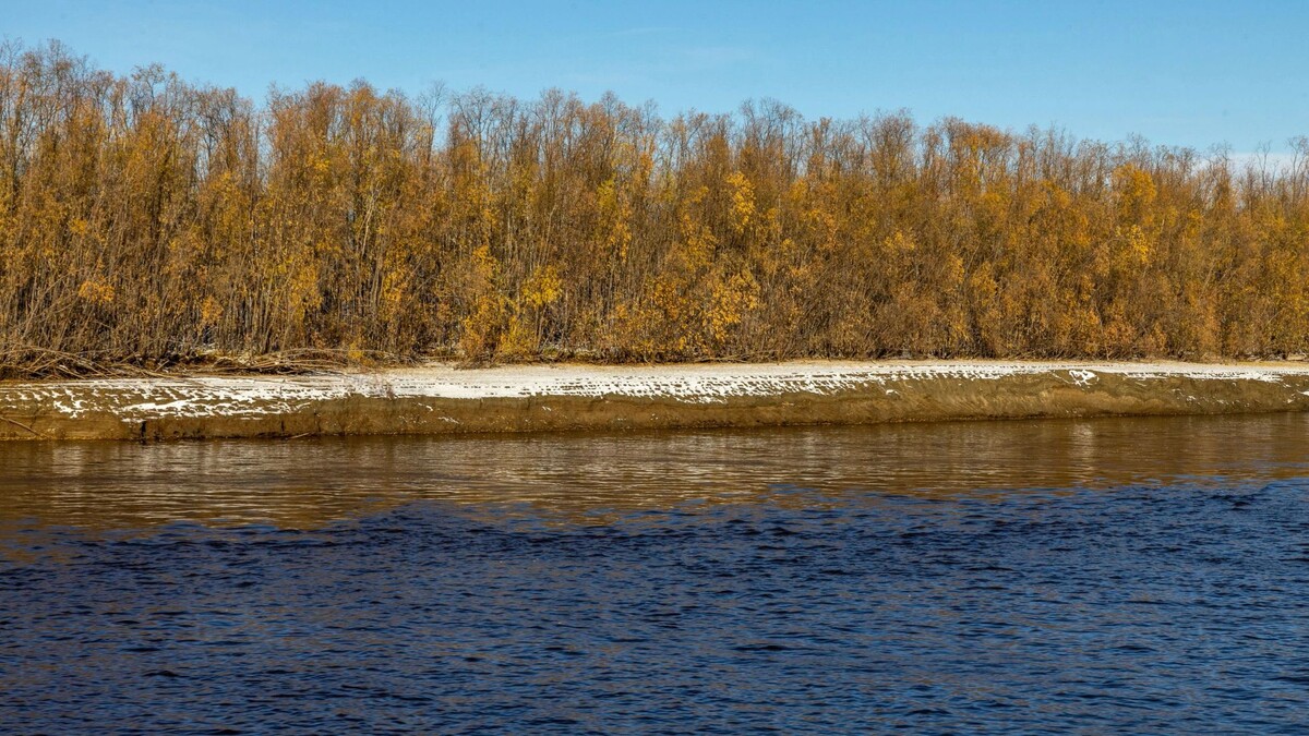    Фото: Федор Воронов/«Ямал-Медиа»
