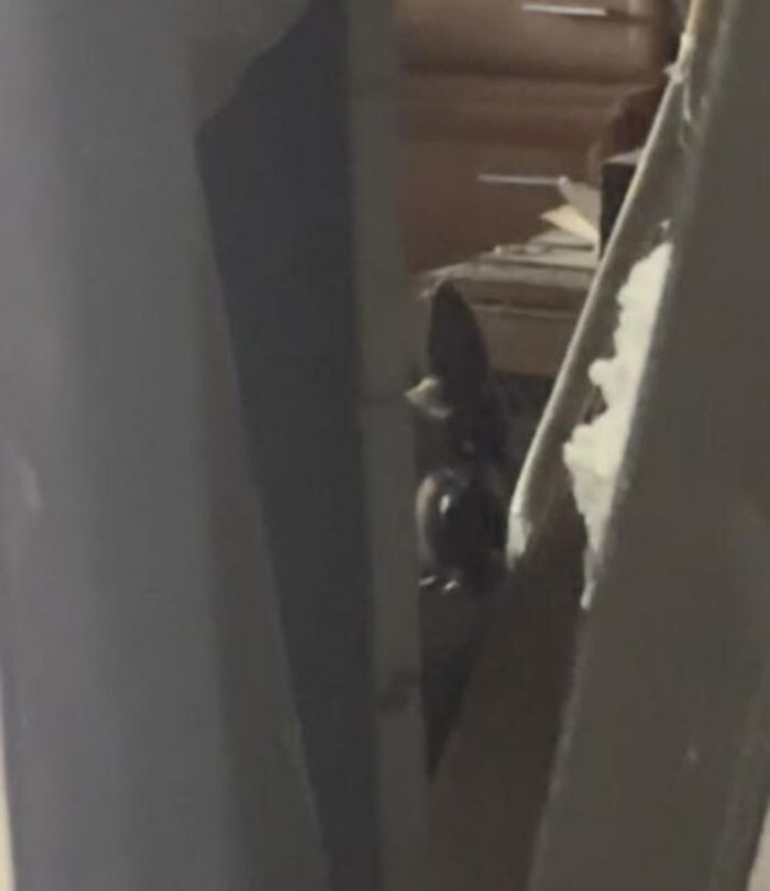 Источник фото: Don Mash