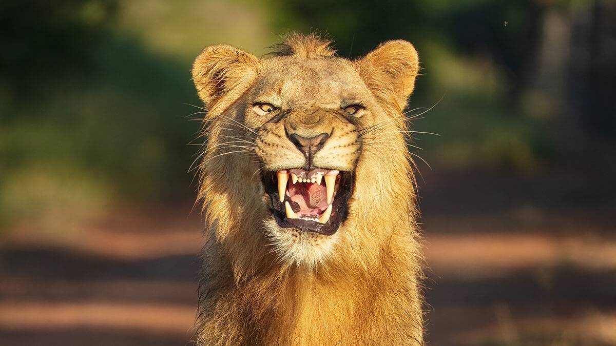    Фото: Shutterstock