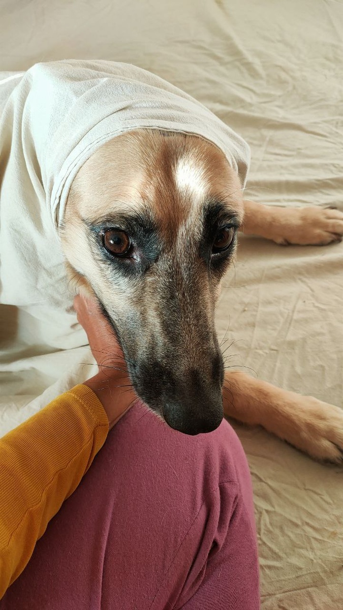 Почти Алёнушка)) После купания