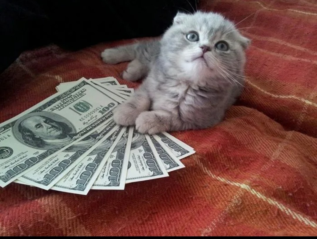 Картинка для настроения 