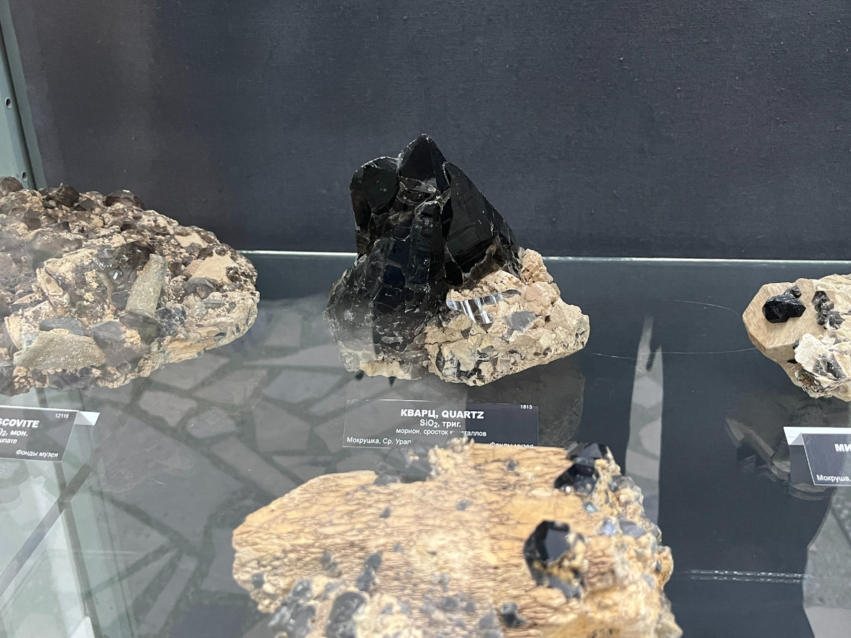 Образцы из музея Ильменского заповедника. Фото 16.08.2024г