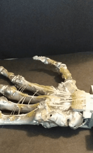 Эксперименты по применению нитинола в создании синтетической кисти человека