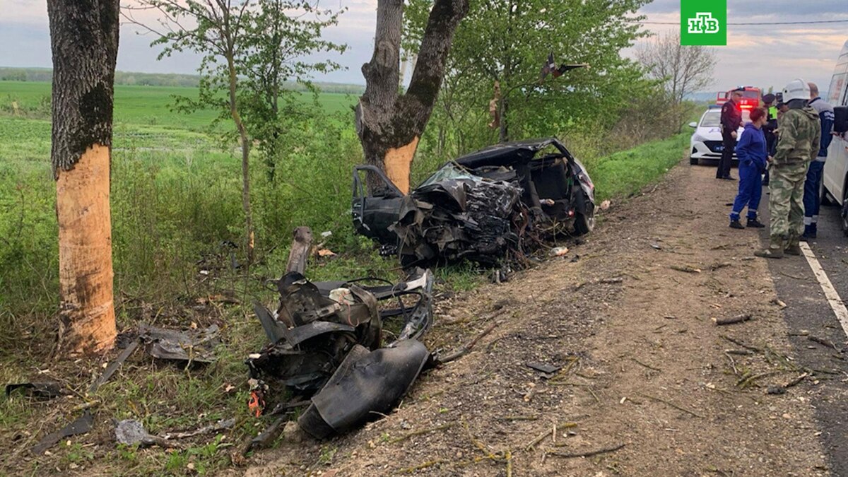    Фото: gibdd123region / t.me