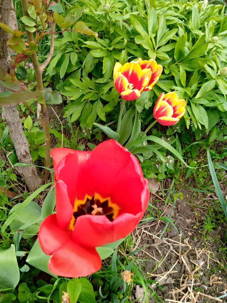 Цитаты из книги автора Артур ЛиманКрайон. Энергии Благополучия. Научитесь ими управлять.