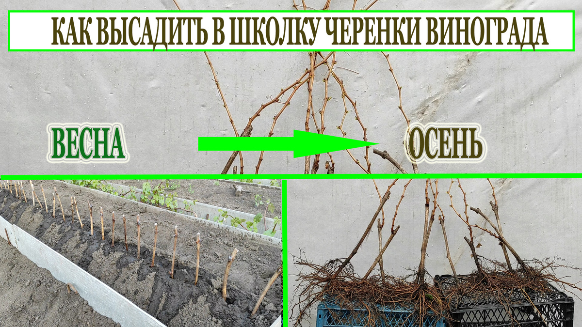 Весна - осень.