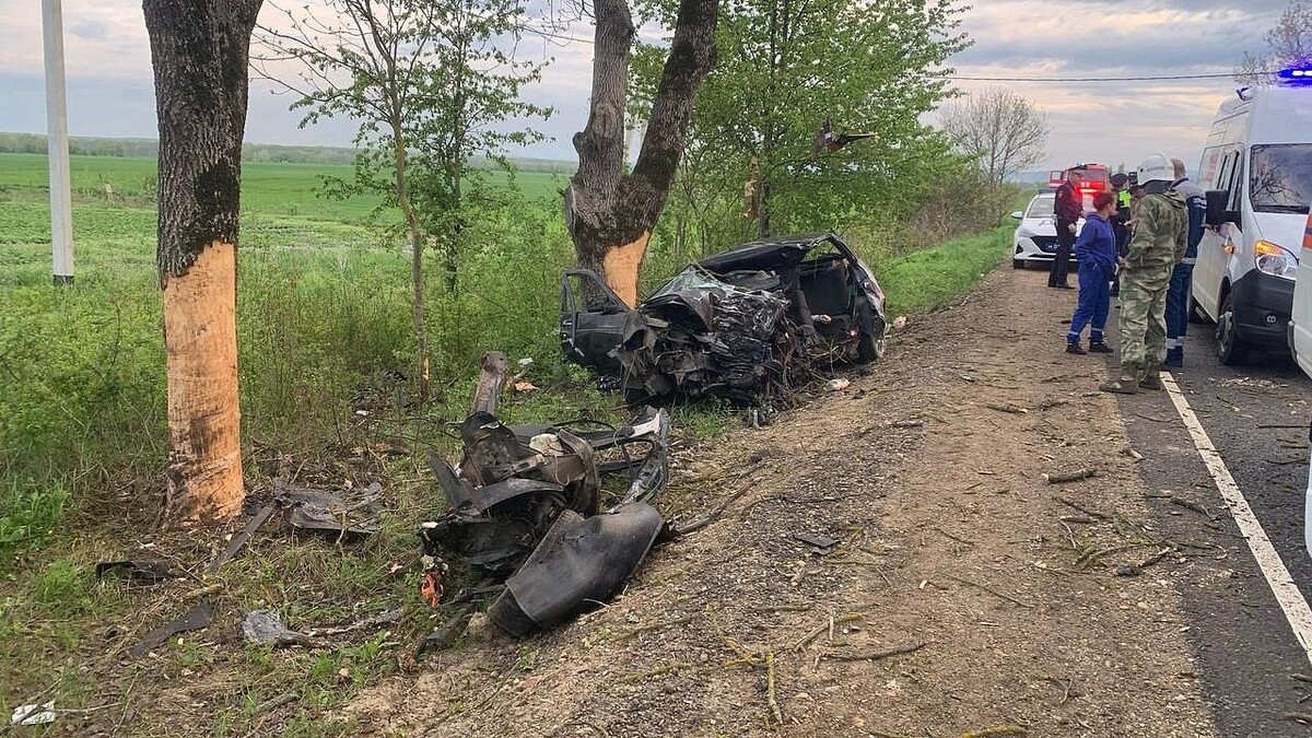    Фото: t.me/mvd_23