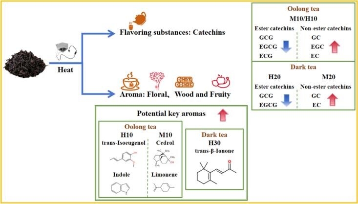 pmc.ncbi.nlm.nih.gov