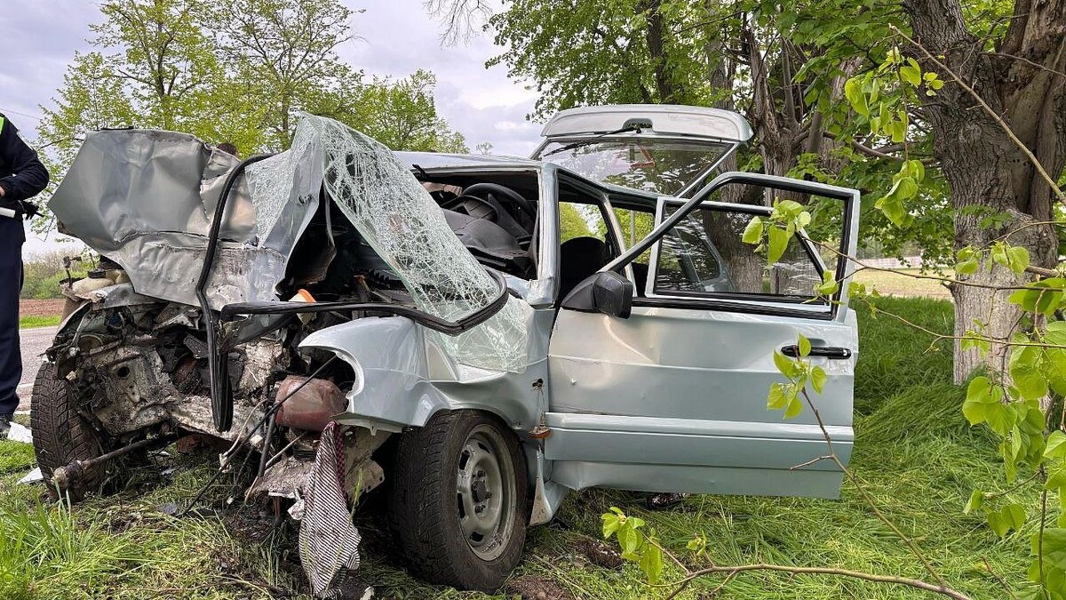    Фото: t.me/mvd_23