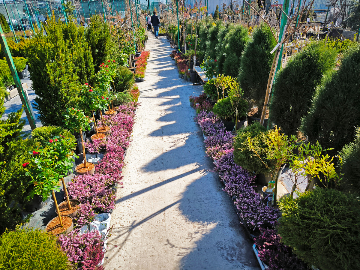 СЦ Флориссима. Уличная площадка