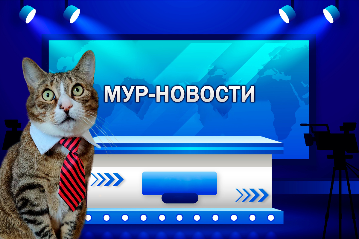 Ведущий Мур-Новостей