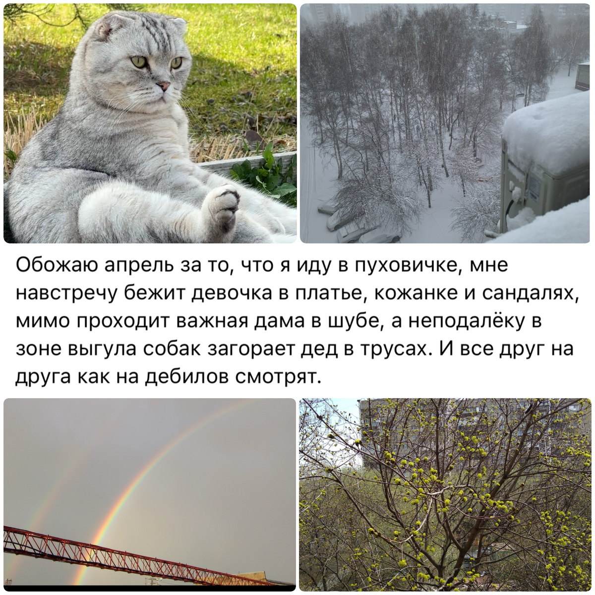 Узнали свой вид за окном?😻