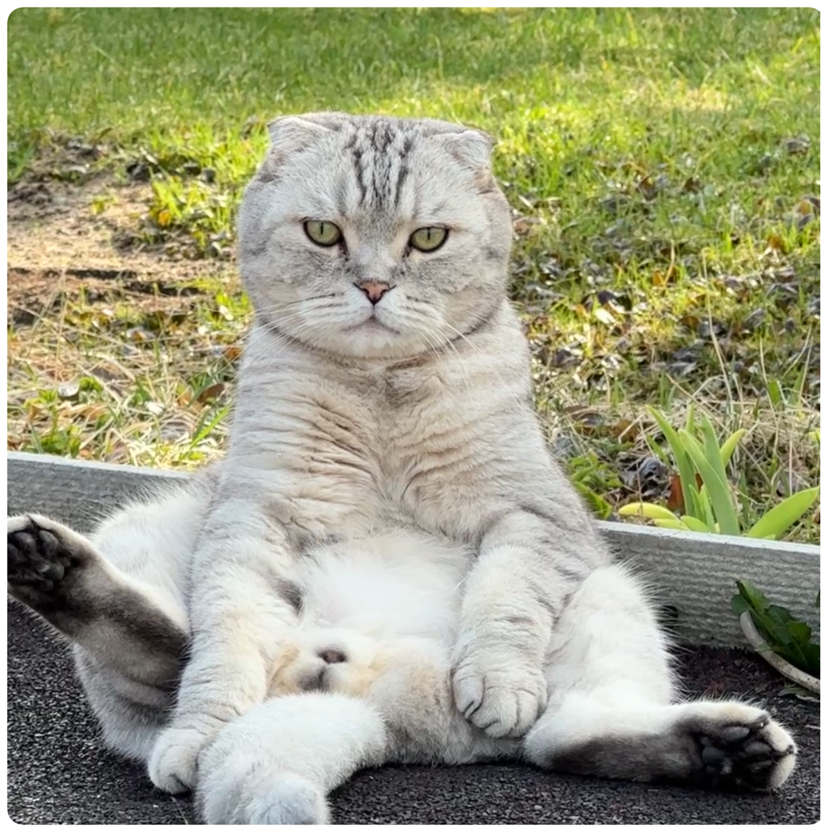 Марсюша успел насладиться хорошей погодой🤗