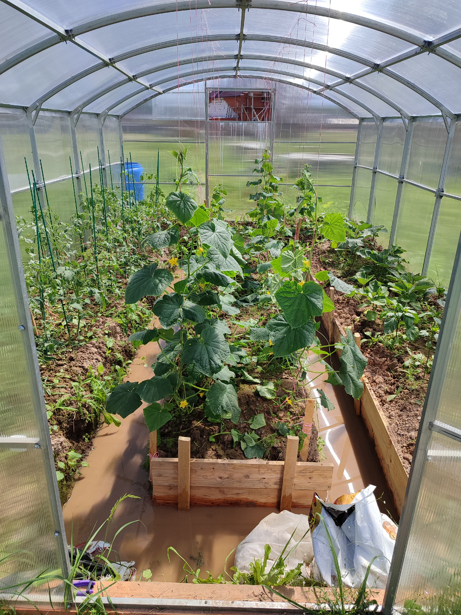 Прошлый сезон мы начали с глиняных холмов и затопленных проходов