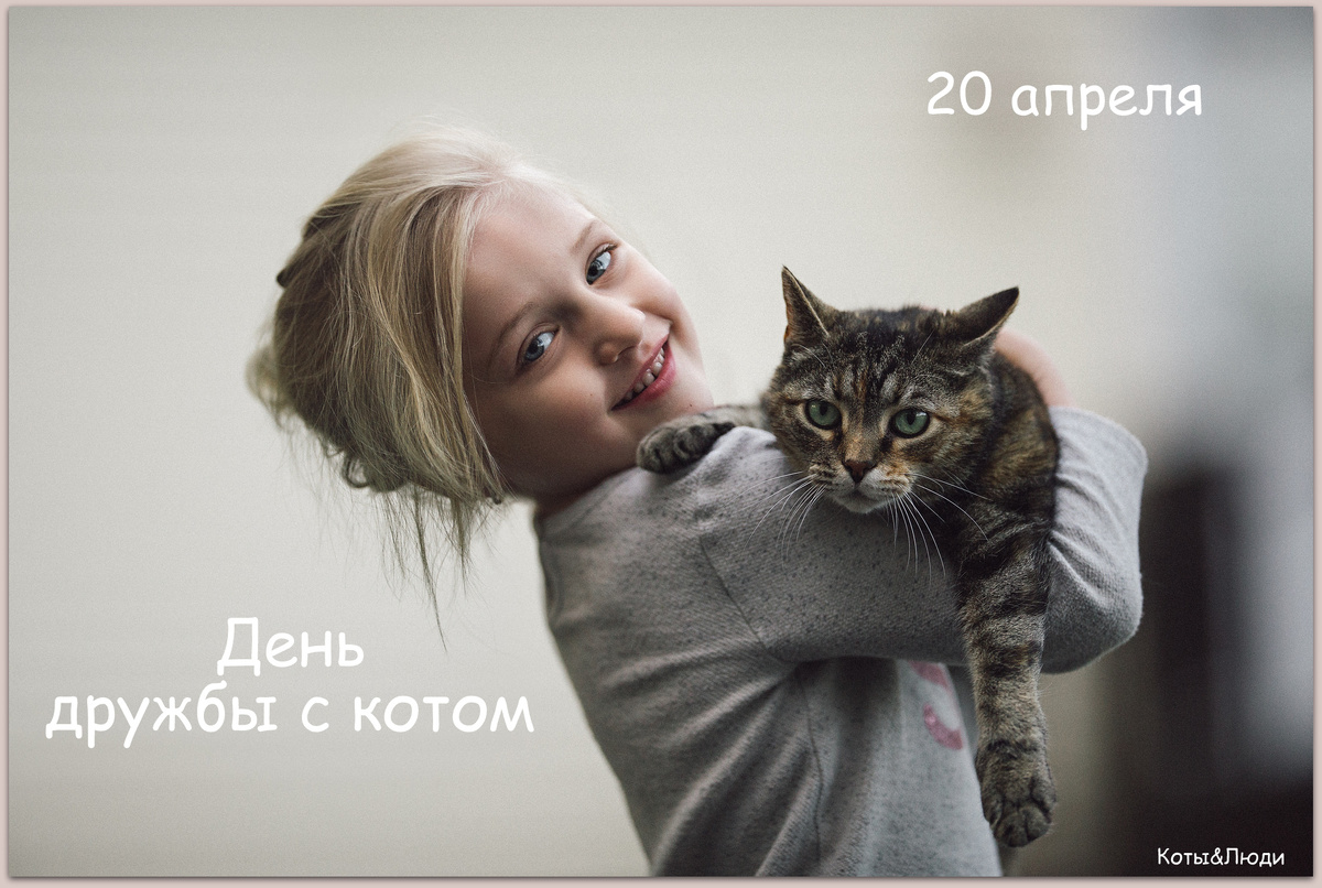 Коллаж автора. Использовано фото: https://immunocap.ru/photo/vklyuchi-devochka-kot/1