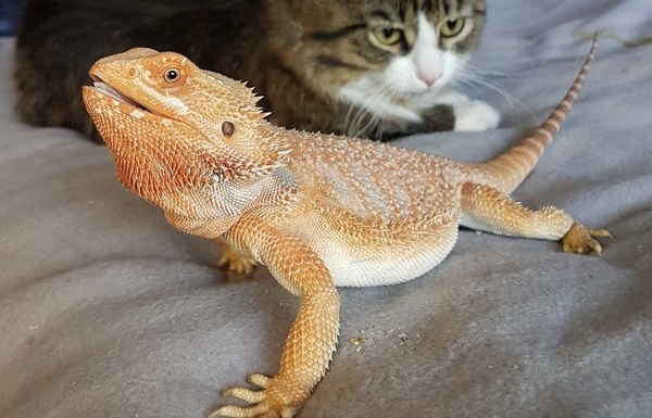 Фото из интернета 