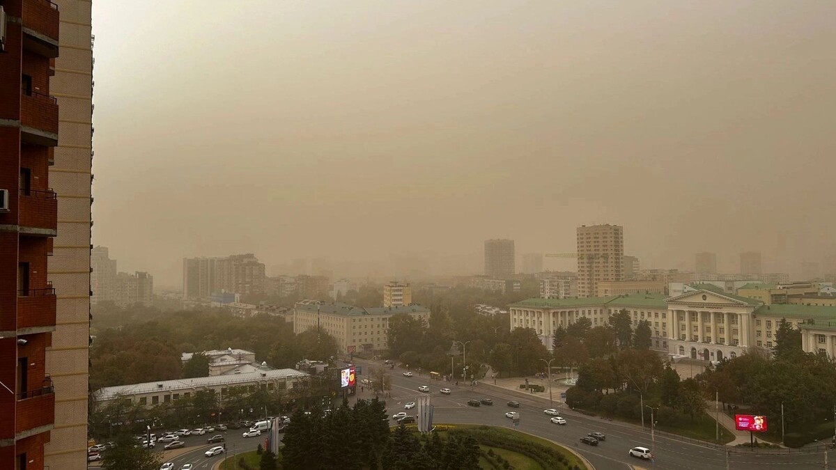     Источник: rostovgazeta.ru