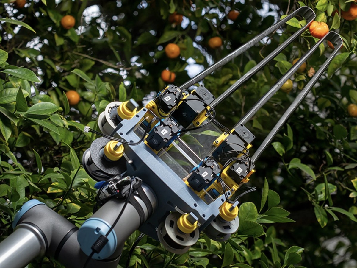    Робот с пальцами из рулетки аккуратно собирает урожай [ВИДЕО]