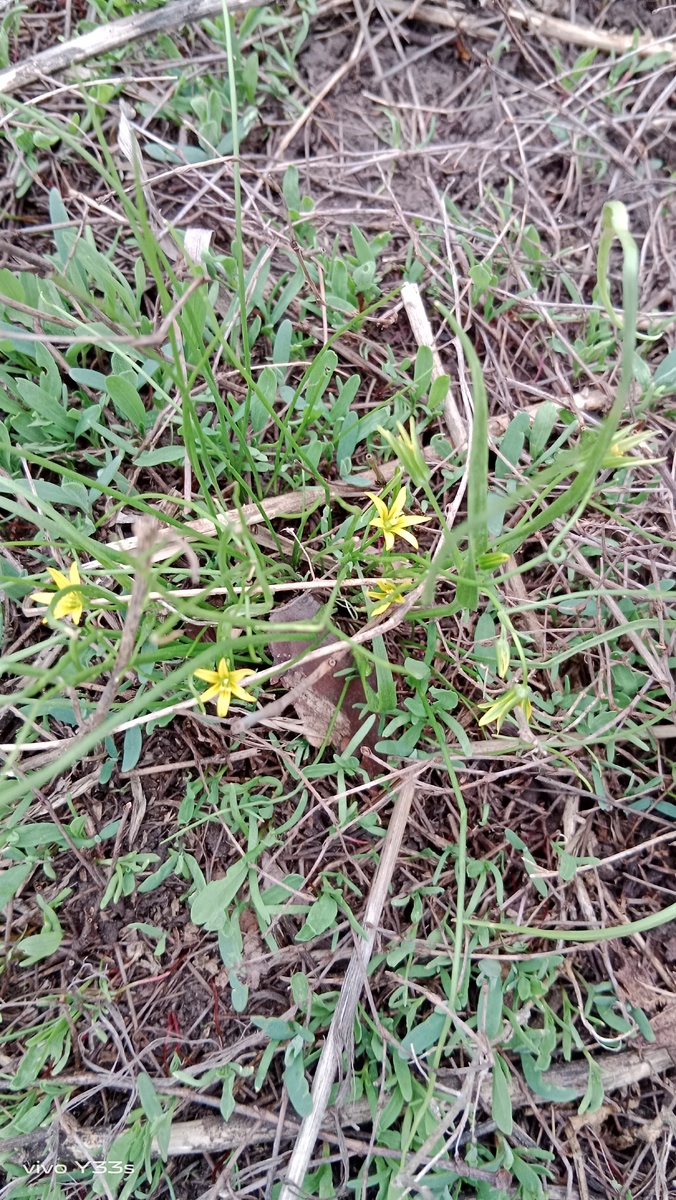 Вот они какие милые .