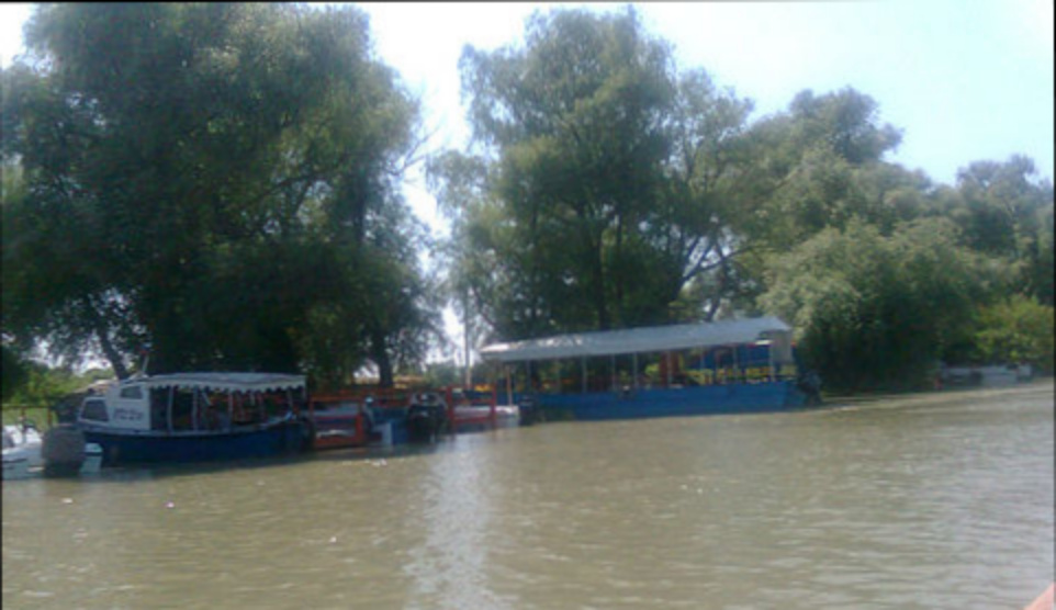 Анапа Путь к долине лотосов Фотография из личного Фото архива