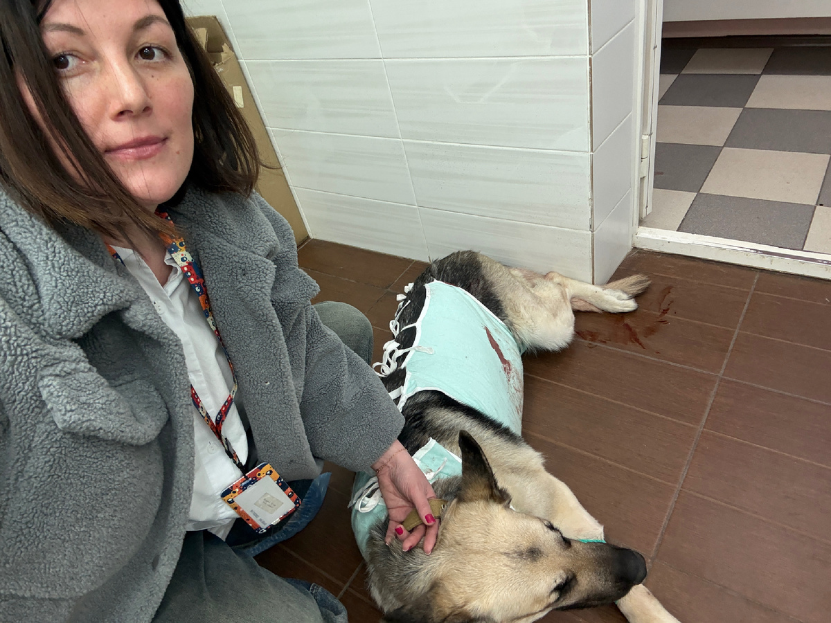 Фото автора