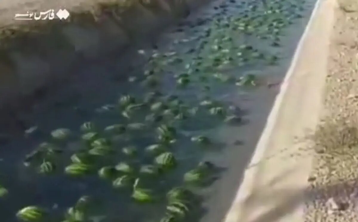    Фото: скриншот из видео в социальных сетях.