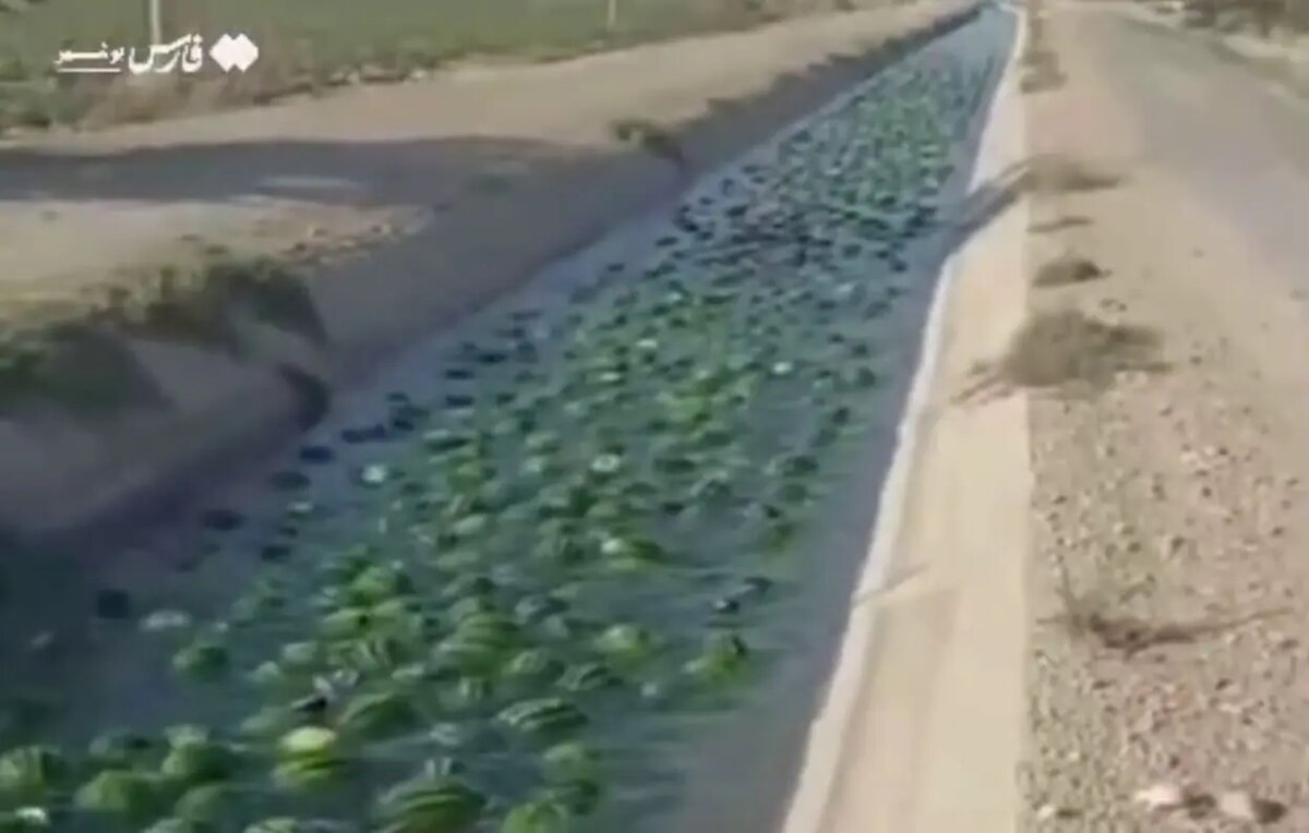    Фото: скриншот из видео в социальных сетях.