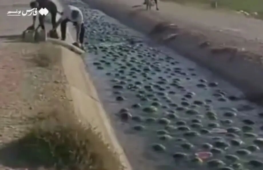    Фото: скриншот из видео в социальных сетях.