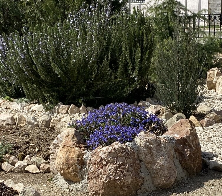 Уличный палисадник в Балаклаве