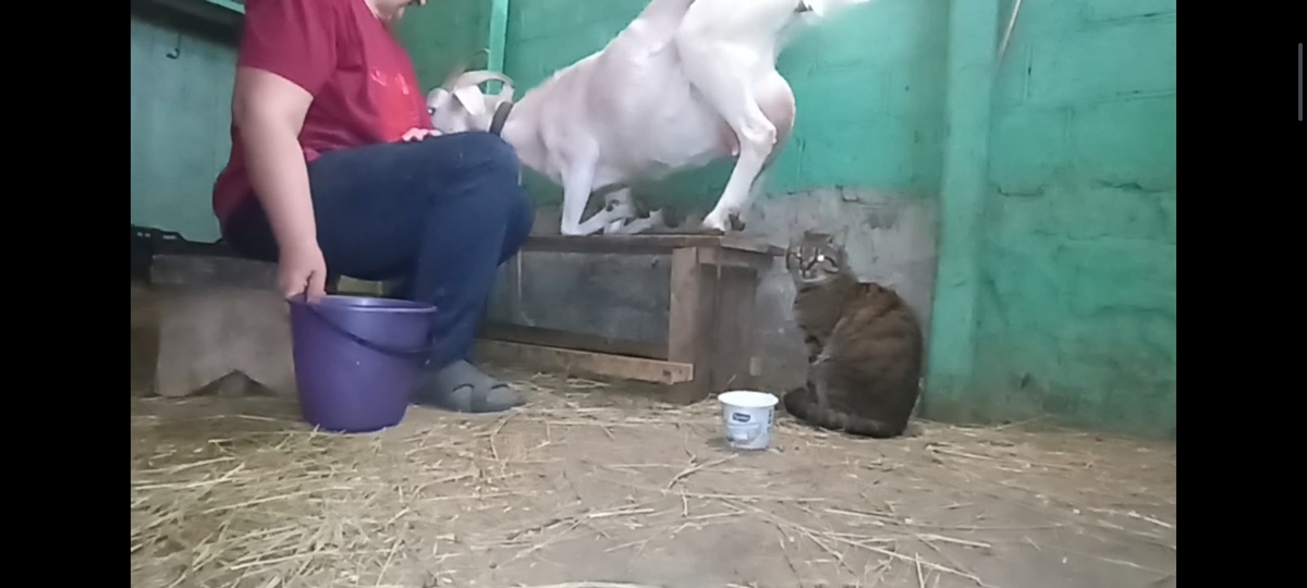 Хорошего помаленьку 