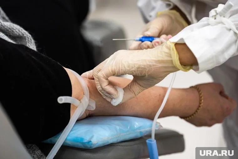 Пермский врач удостоен звания «Почетный донор России»
Фото: Анна Майорова © URA.RU