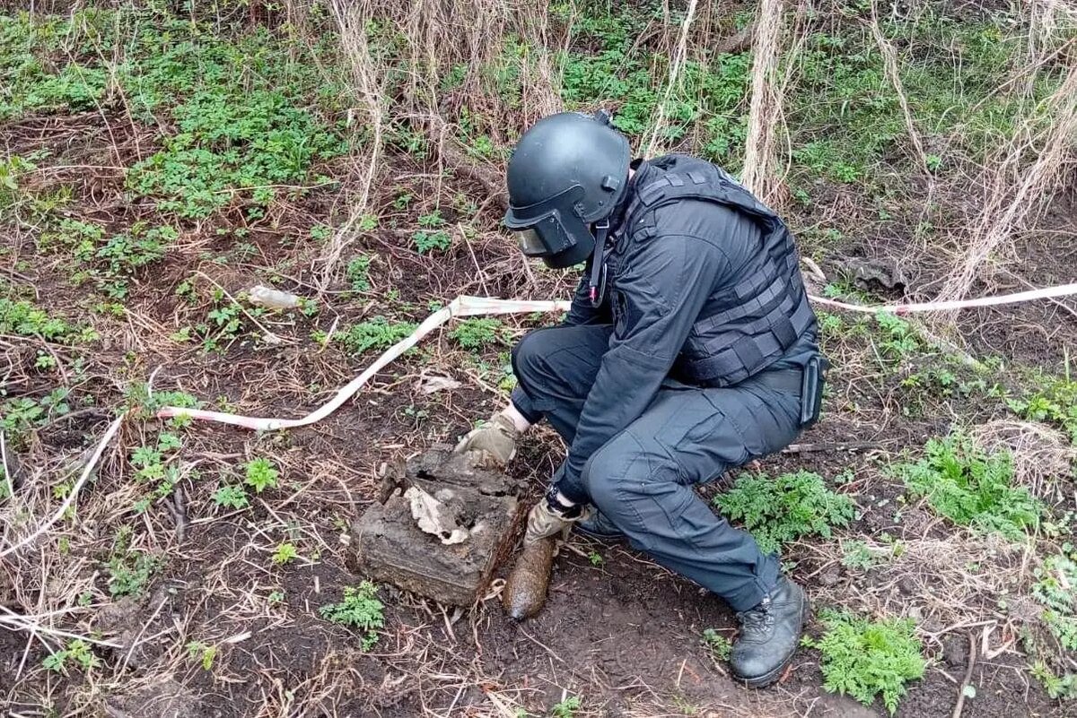   Фото: пресс-служба ГУ Росгвардии по Петербургу и Ленобласти.