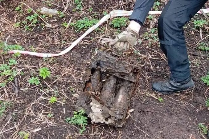    Фото: пресс-служба ГУ Росгвардии по Петербургу и Ленобласти.