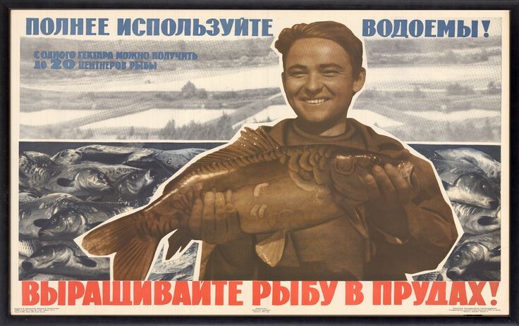 Такие плакаты в СССР настраивали граждан на рыбный день.