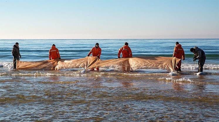    МАРИЯ РОМАКИНА/ТАСС В феврале основные пляжи Анапы удалось избавить от комков мазута разного калибра, в основном с помощью установленных на берегу сетей, а также просева прибрежных гальки и песка но апрельские штормы выбросили на берег новые порции мазута