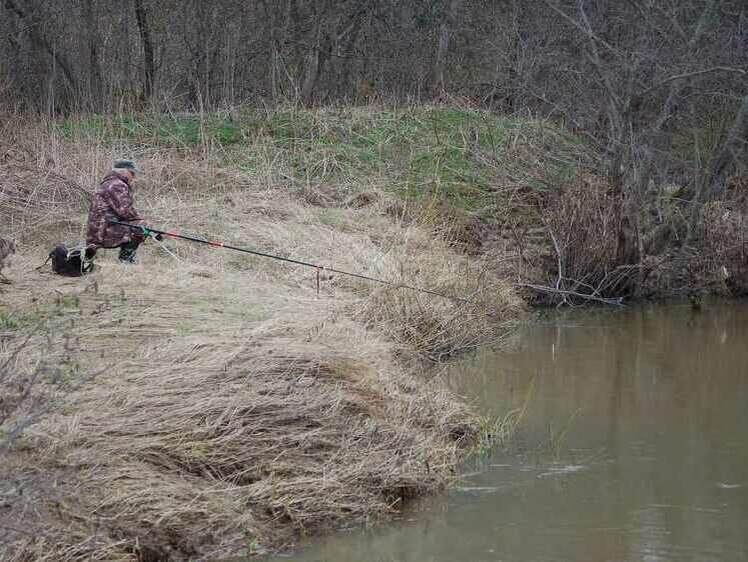     Фото: Яншевского Андрея.