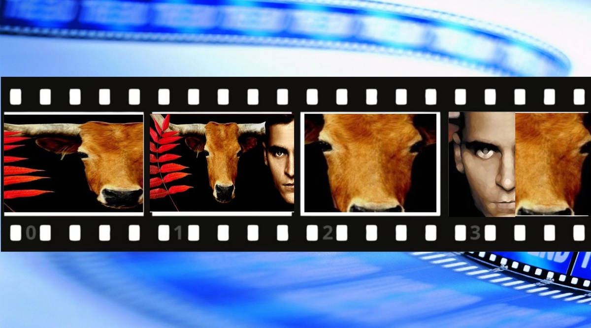 Стейк — это вам не донаты.
