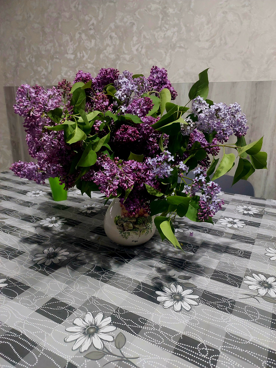 Букет сирени на моей кухне