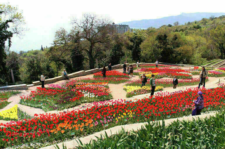   Никитский ботанический сад в Ялте. © Ирина Гайворонская / CC BY-SA 4.0