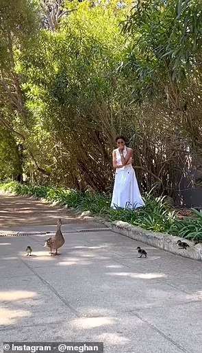 Социальные сети Меган Маркл