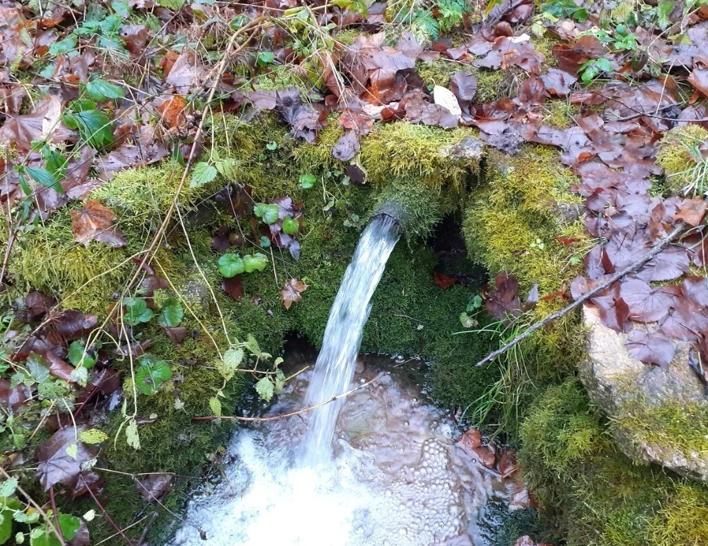 Фото: открытый источник Яндекс Картинки